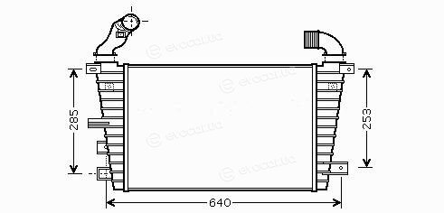 Starline OL4416