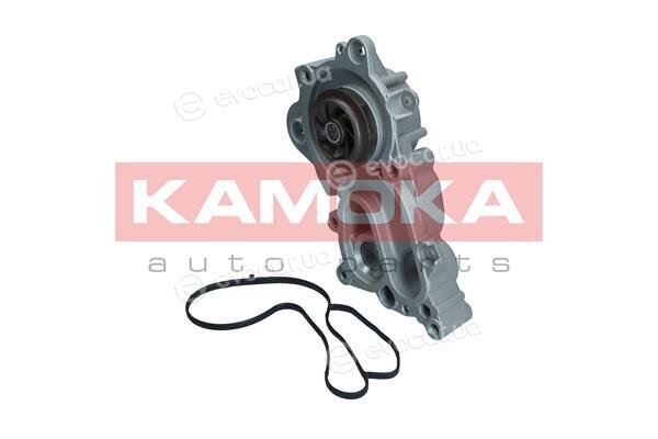 Kamoka T0287