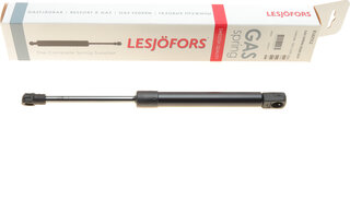 Lesjofors 8182912