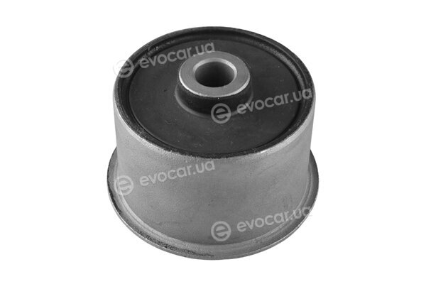 Tedgum TED56066