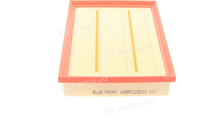 Blue Print ADBP220031