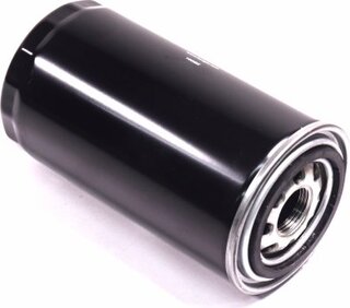 Hengst H19W10