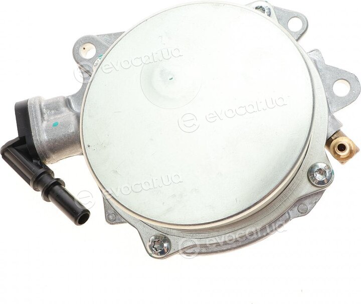 Bogap B1916109