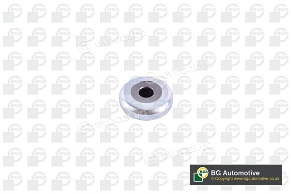 BGA SM1408