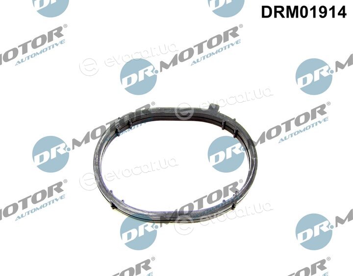 Dr. Motor DRM01914