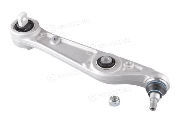 Tedgum TED37734