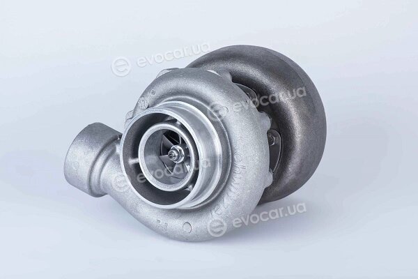 BorgWarner 317844