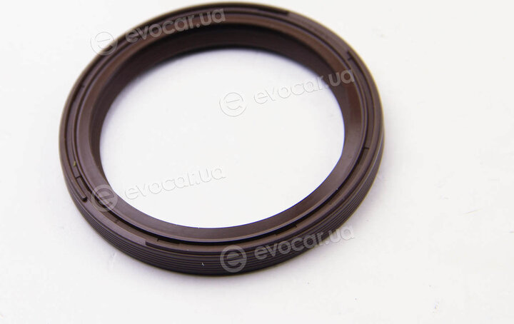 BGA OS5381