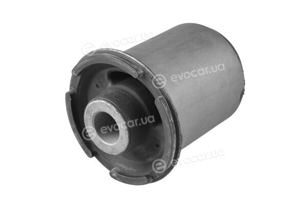 Tedgum TED50867