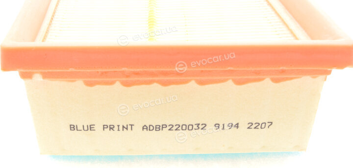 Blue Print ADBP220032