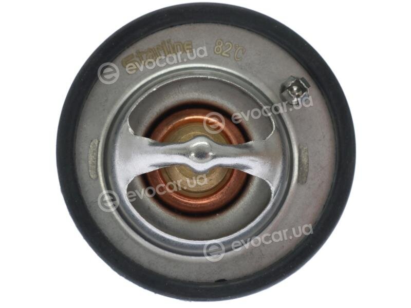 Starline TS T117.82T