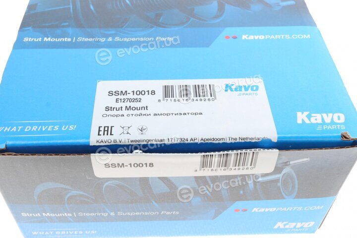 Kavo SSM-10018