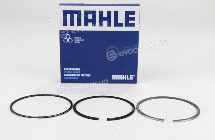 Mahle 009 81 N0