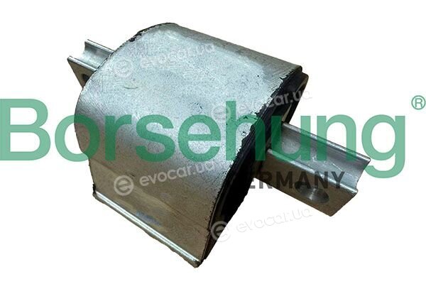Borsehung B13545