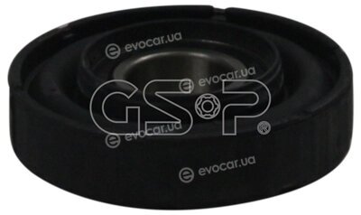 GSP 519037