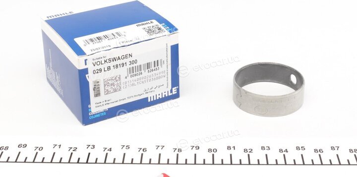 Mahle 029 LB 18191 300