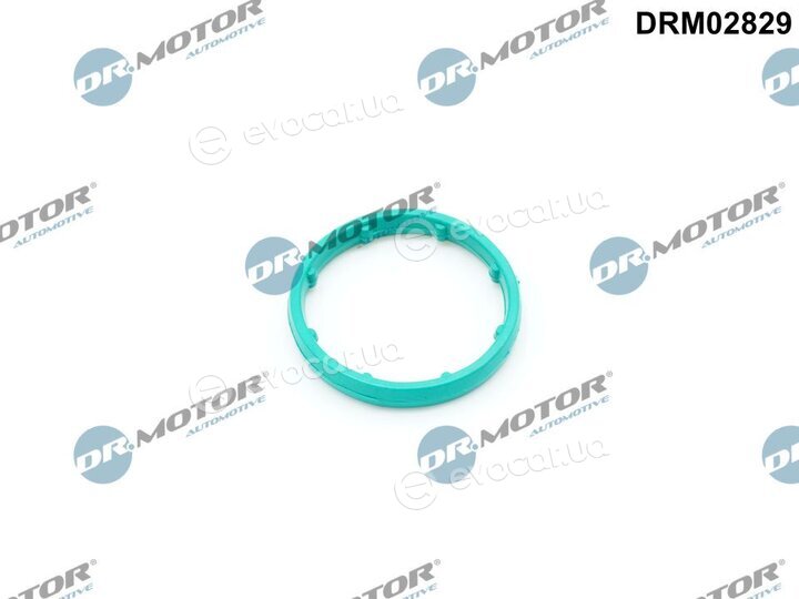Dr. Motor DRM02829