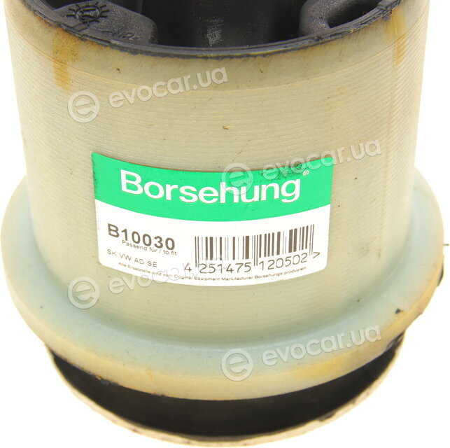 Borsehung B10030