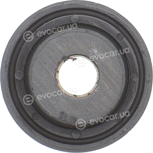 Belgum BG0501B