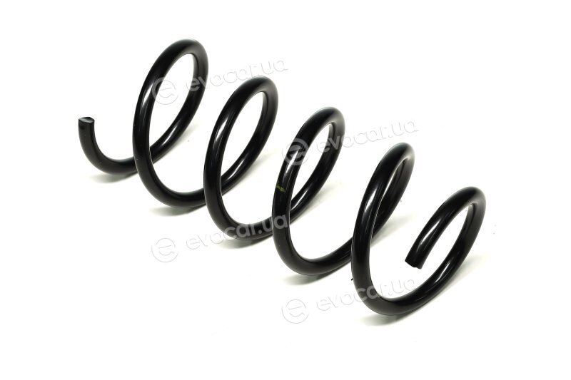 Lesjofors 4017008