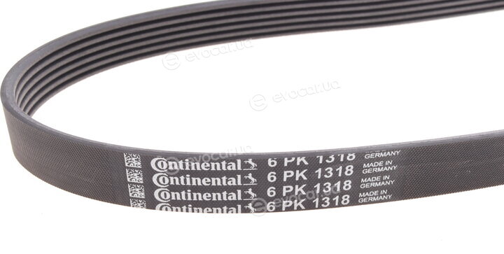 Continental 6PK1318