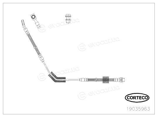 Corteco 19035963