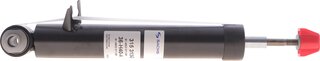 Sachs 315 313