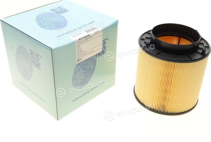 Blue Print ADV182209