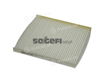 Coopers Fiaam PC8038
