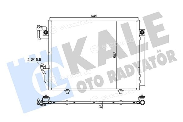 Kale 350630