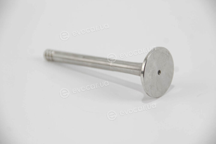 Mahle 029 VA 30499 100