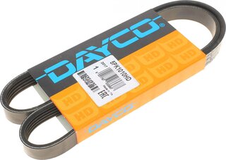 Dayco 5PK1010HD