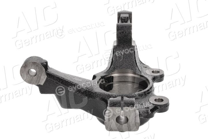 AIC 56521