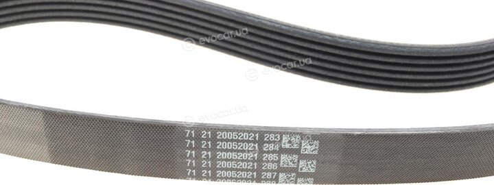 Continental 6PK1050K3