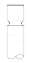 Intervalves 1283.036