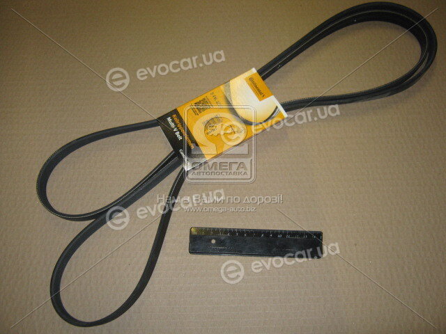 Continental 6PK2528