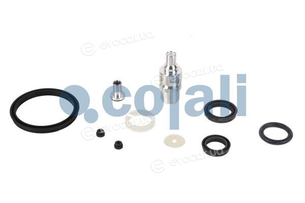Cojali 6034009