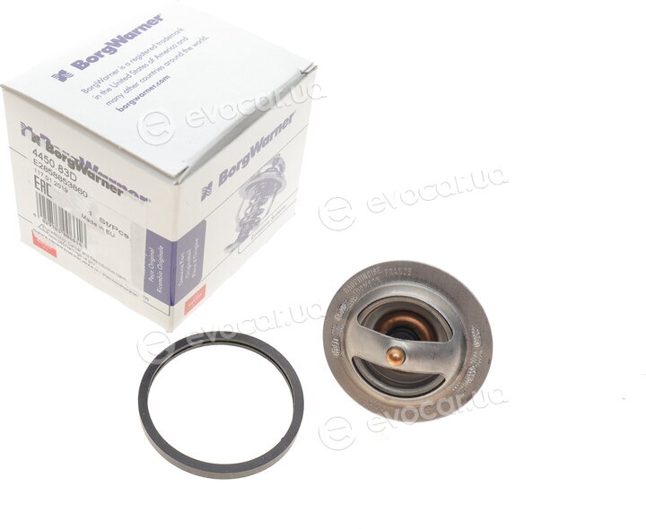 Wahler / BorgWarner 4450.83D