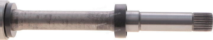 GSP 256581
