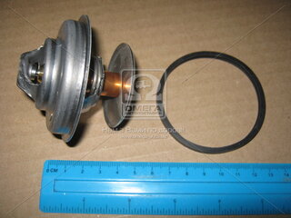 Mahle TX 62 89