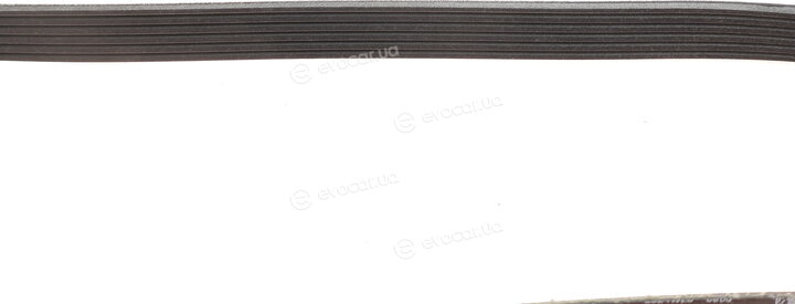 Gates 6PK1029EST