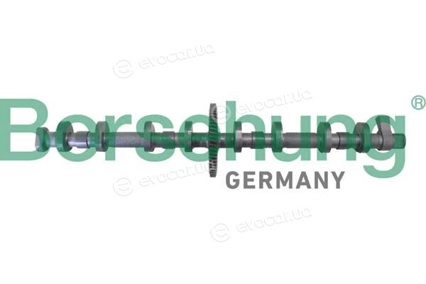 Borsehung B11324