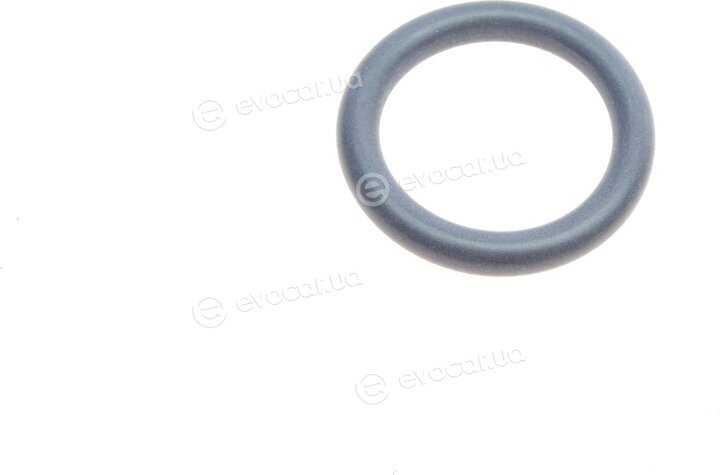 Elring 595.090