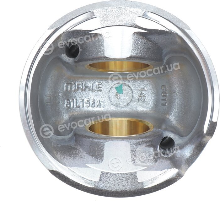 Mahle 028 PI 00100 002