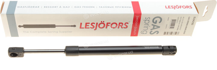 Lesjofors 8104230