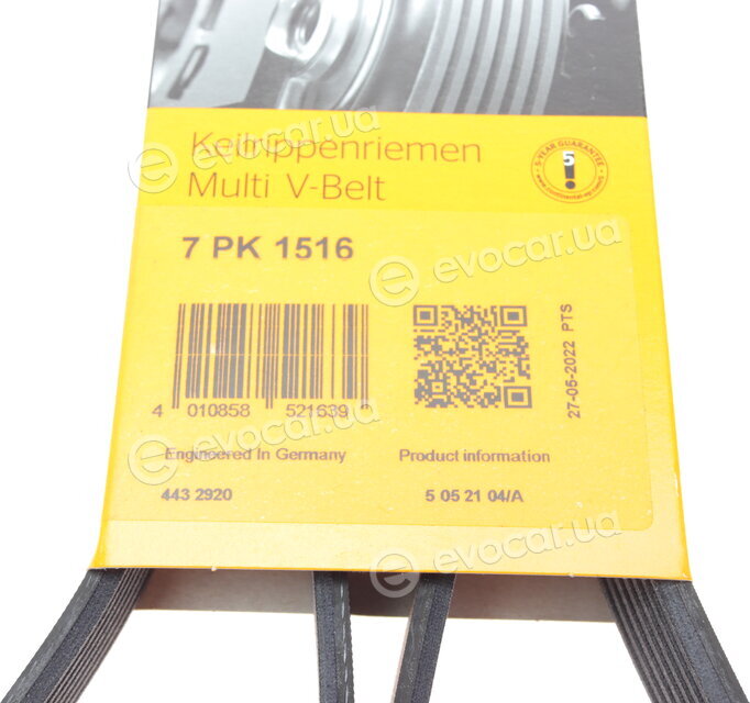 Continental 7PK1516