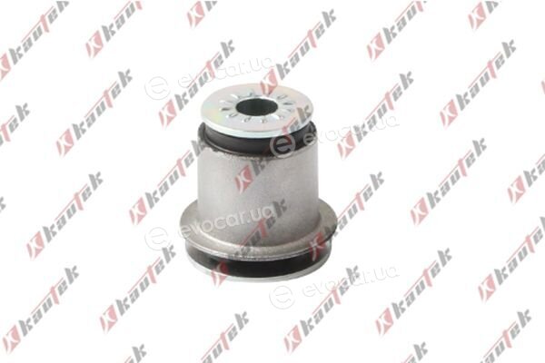 Kautek CH-BS156