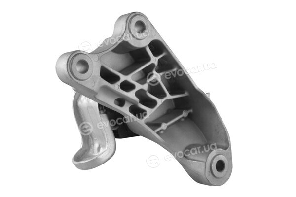 Tedgum TED39037