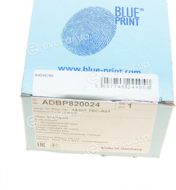 Blue Print ADBP820024