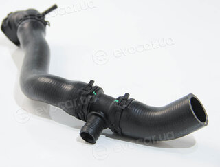 Rapro R25929